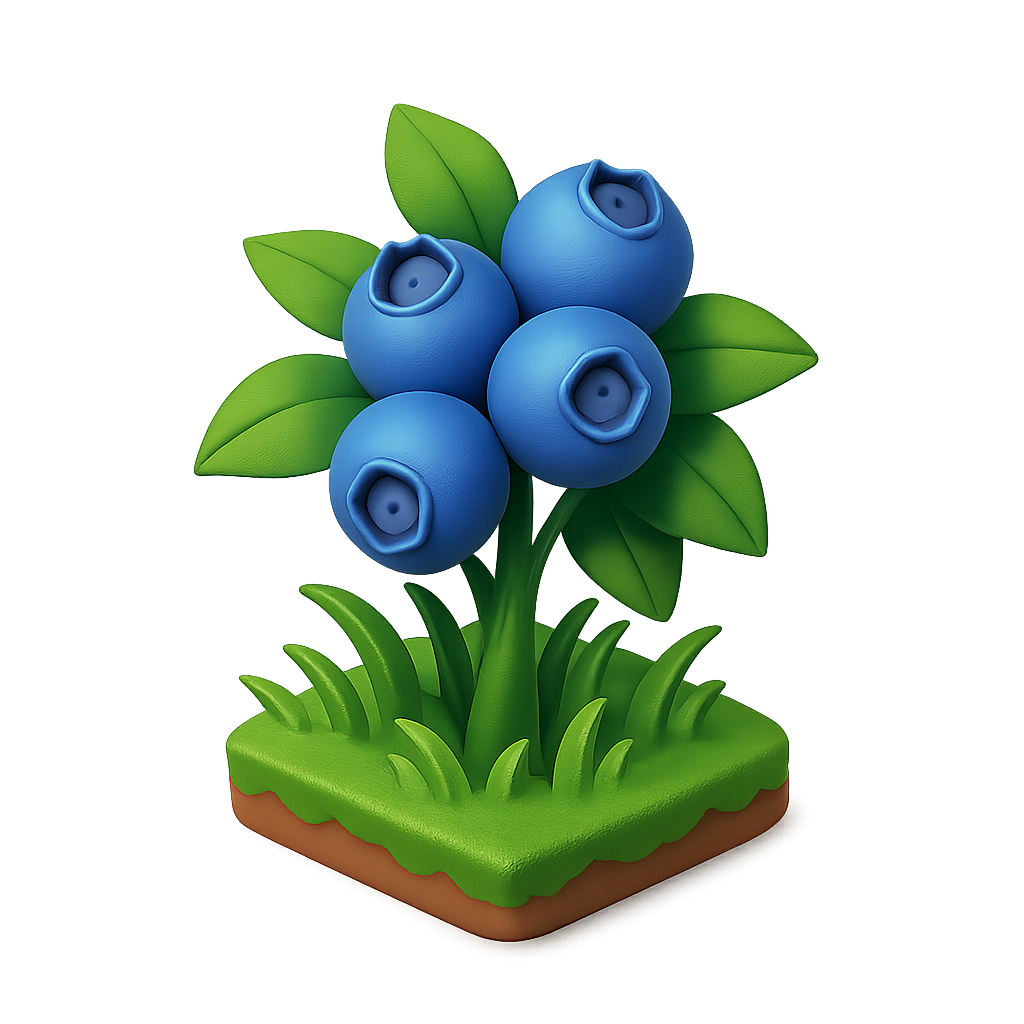 Blueberry